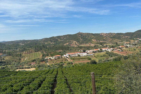 Desde Albufeira: Excursión de medio día en jeep por el campo