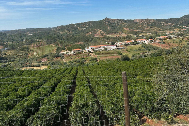 Albufeira: Excursión en Jeep Safari por Alte, Paderne y Messines