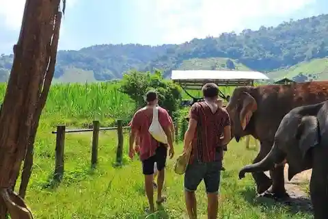 Chiang Mai Elephant Village Life: Long Neck & Bamboo Rafting