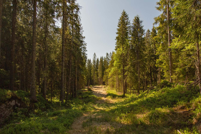 Die spektakuläre Holmenkollen-Wanderung