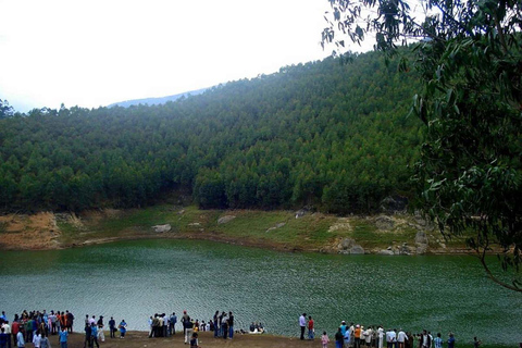 5-Day Kerala Tour: Nature, Culture, & Backwater Cruise