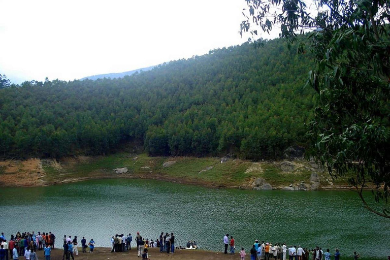 5-tägige Kerala-Tour: Natur, Kultur und Backwater-Kreuzfahrt