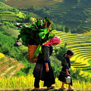 Sapa: Bac Ha Market, Ban Pho Culture & Border Gate Day Tour