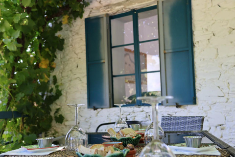 From Porto: 2 Boutique Wineries w/ Winery Lunch & 1-h cruise Tour in English