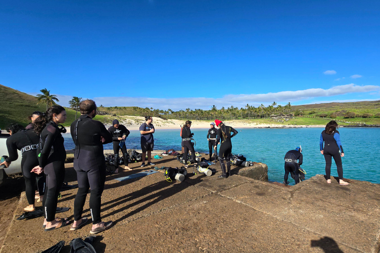 Easter Island – Introductory Dive in the Corals of Rapa Nui Easter Island: Introductory Dive in the Corals of Rapa Nui