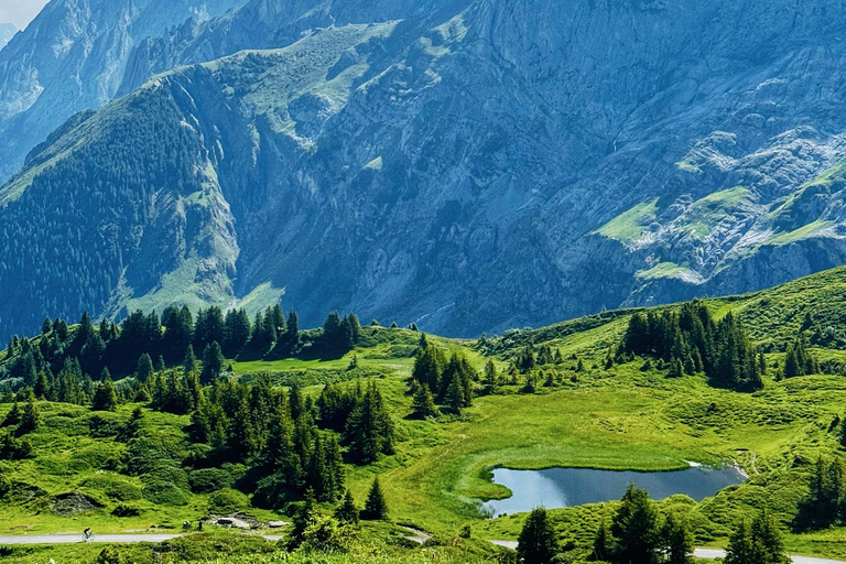 جولة بدراجة كهربائية في وادي روزنلاوي من إنترلاكن