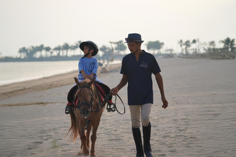 阿布扎比：胡代里亚特岛骑马体验与马共游