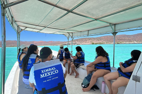 La Paz: Espíritu Santo Island, Balandra Beach, and Sea Lions – All-Inclusive La Paz: Espíritu Santo Island and Balandra, All-Inclusive