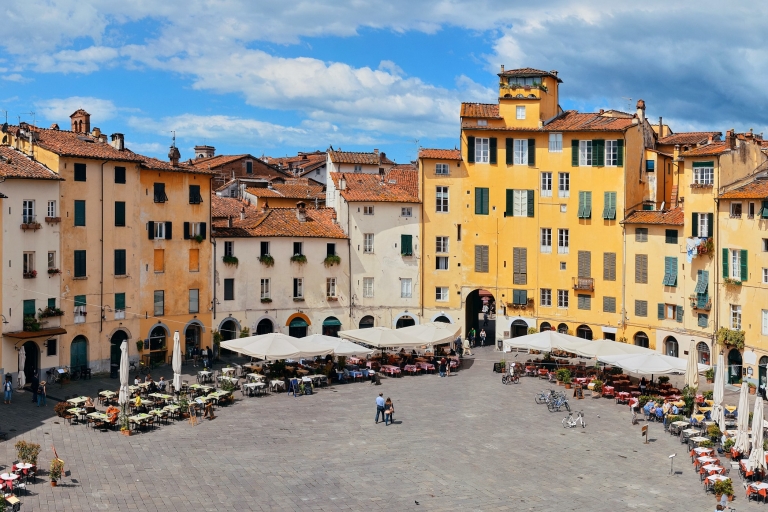 Pisa en Lucca: privétour van een hele dag per Deluxe Van