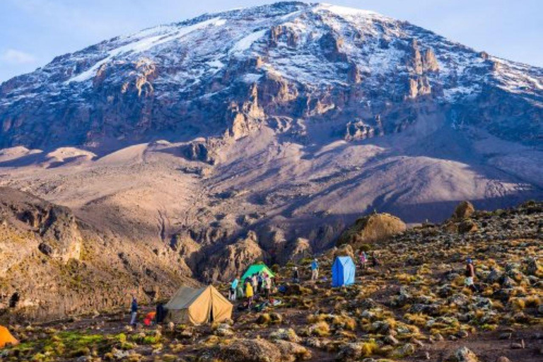 7 Days 6 Nights Machame Route-Kilimanjaro Climbing