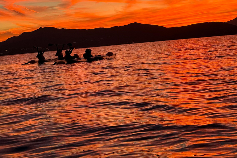 Golfo Aranci: transparent or traditional kayak, dolphins, and aperitif Sunset Tour in a Traditional Kayak with Aperitivo and Dolphins
