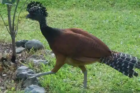 La Gamba: Piedras Blancas nationalpark