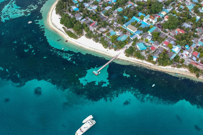 St. Maarten: Horseback Ride & Swim in the Caribbean