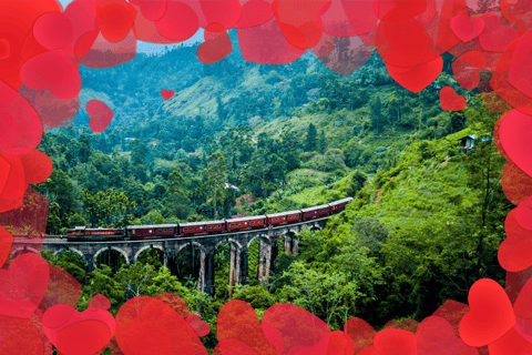 Kandy to Ella Special First Class Celebration Ticket Lovers Train Ella From/To Kandy Scenic Train Journey