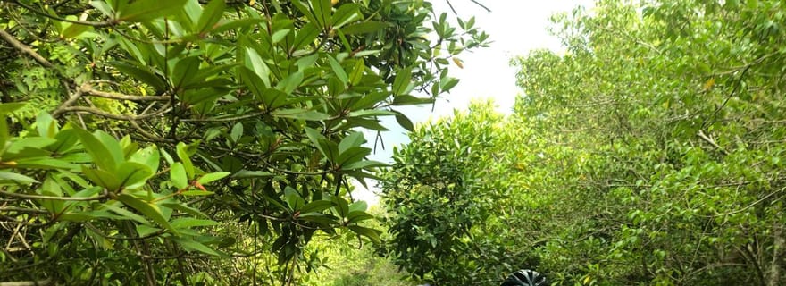 Au départ de Galle : Circuit cycliste exclusif dans les villages et lagons de Galle