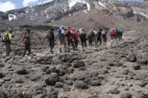 Best 8-Day Lemosho Route Kilimanjaro Budget Trek Tour