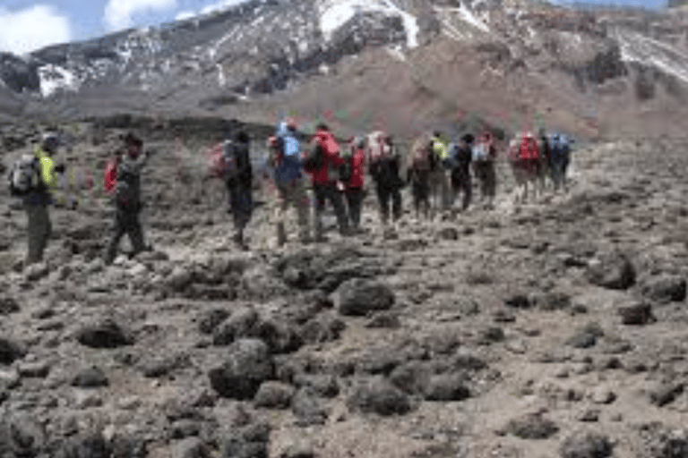 Best 8-Day Lemosho Route Kilimanjaro Budget Trek Tour