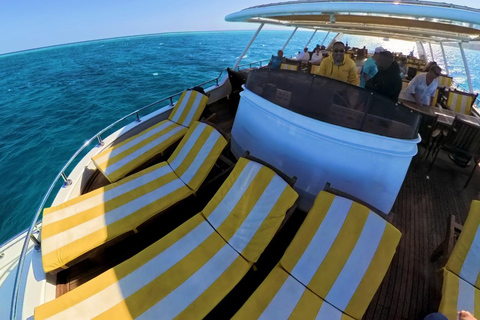 Hurghada: Scuba Diving cruise with lunch & pickup Single Beginner introduction dive with pickup and lunch