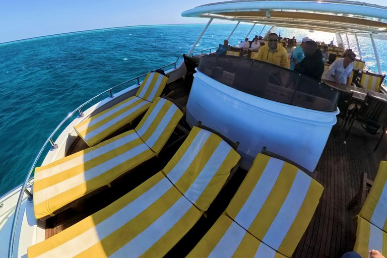 Hurghada: Scuba Diving cruise with lunch & pickup Single Beginner introduction dive with pickup and lunch