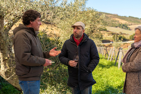 Douro Valley: Private Wine Tour with Lunch