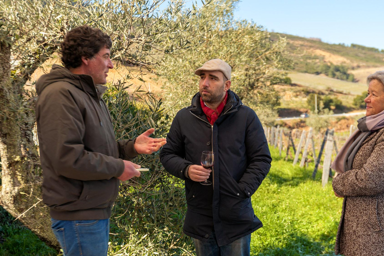 Douro Valley: Private Wine Tour with Lunch