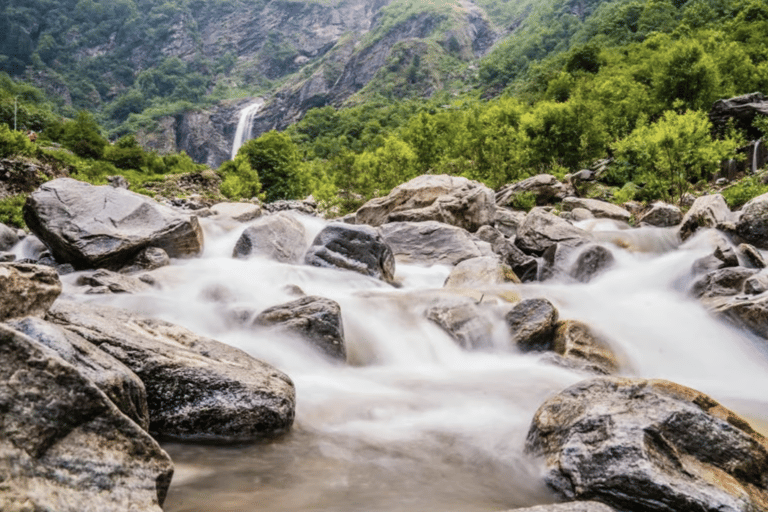 From Delhi: Haridwar and Rishikesh Day Trip with Ganga Aarti Private Rishikesh and Haridwar Same Day Tour with Guide