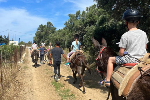 Paseo en burro - País cretenseDNK: Paseo en burro - País cretense