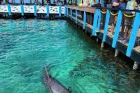 Cartagena: 3 Exclusive Destinations in the Rosario Islands