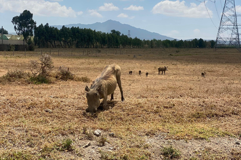 From Nairobi: Hell's Gate E-Bike/Quad Bike Tour & Boat Ride From Nairobi: Hell's Gate E-Bike & Crescent Island