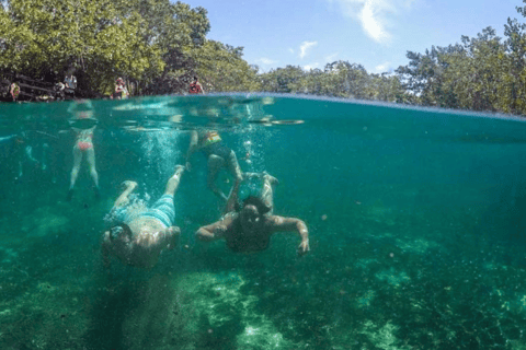 De Cancún: Excursão a Holbox com traslado