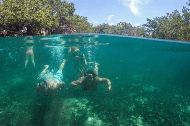 De Cancún: Excursão a Holbox com traslado