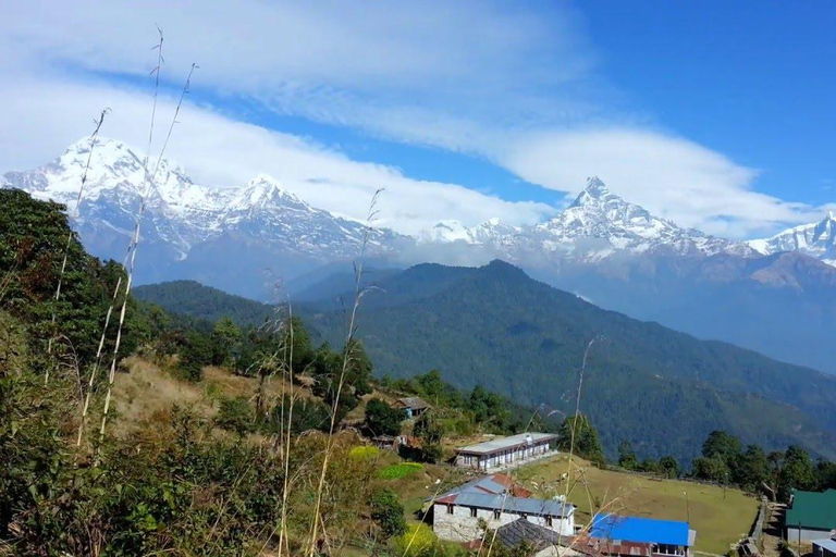 Pokhara: trekking di 3 giorni ad Astam, Dhampus e Campo Australiano