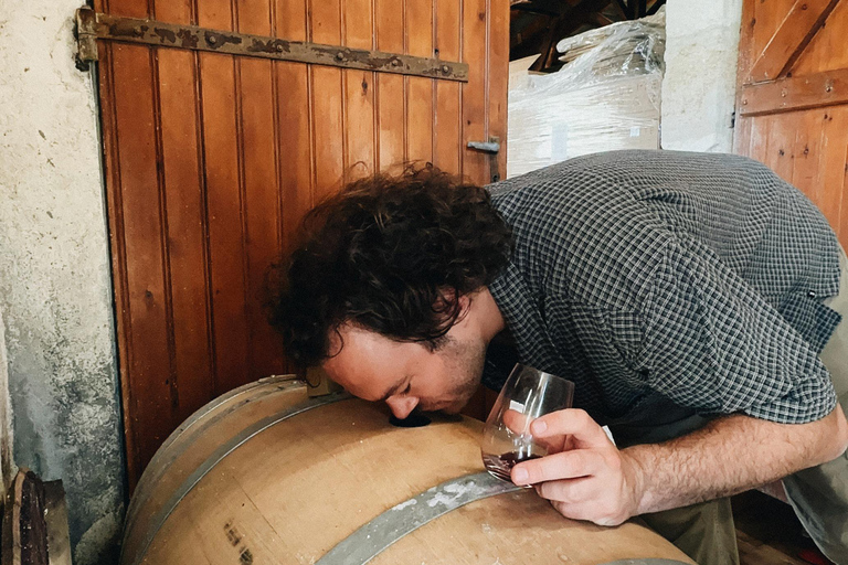 Bordeaux: Winery Tour and Garden Picnic