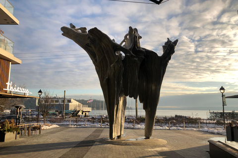 Vancouver: Hop-On Hop-Off City Tour by Car, Small Group