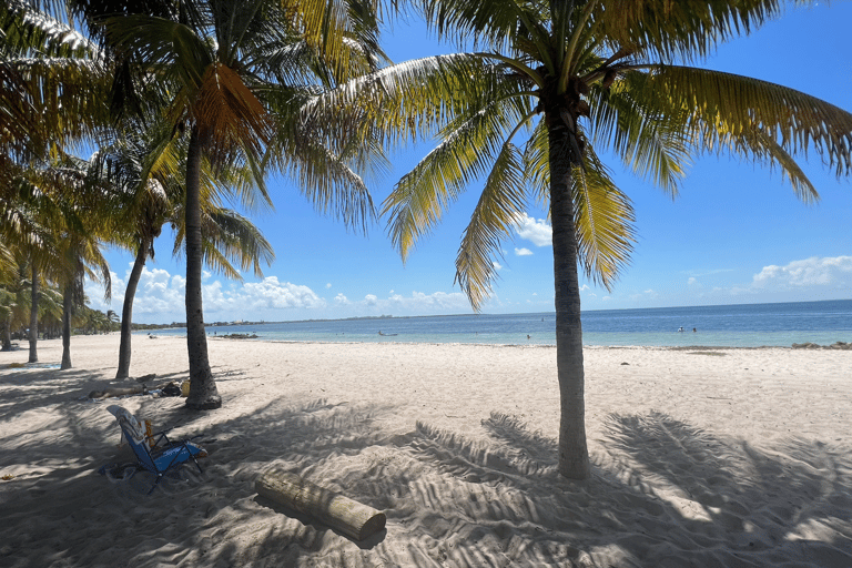 West Palm Beach: Beginner Snorkeling Adventure with Videos Beginner Snorkeling Adventure with Videos - West Palm Beach