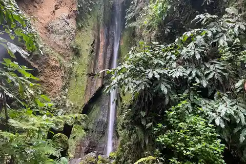 Furnas: Private Tour with Hike & Hot Springs