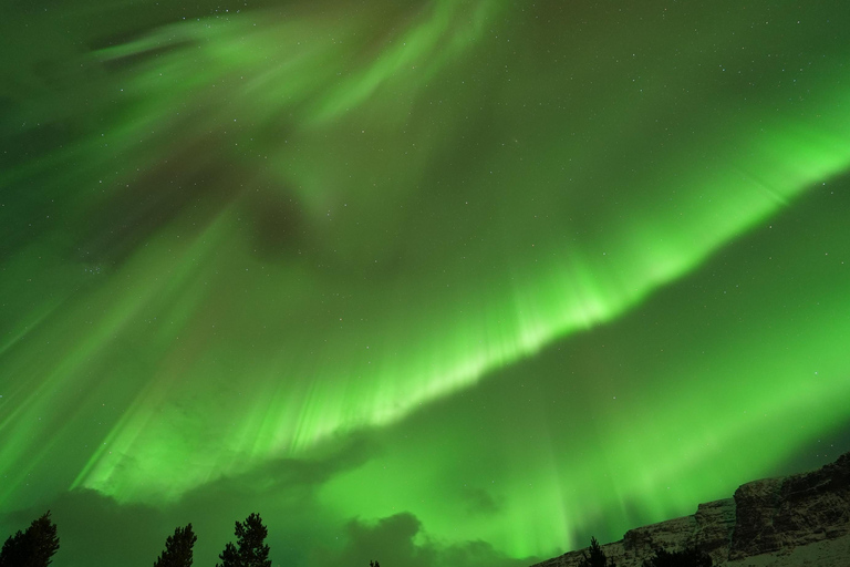 Tromsø: English/Spanish Aurora Pathfinder Tour with Photos Tromsø: English/Spanish Aurora Hunting Private Minibus Tour