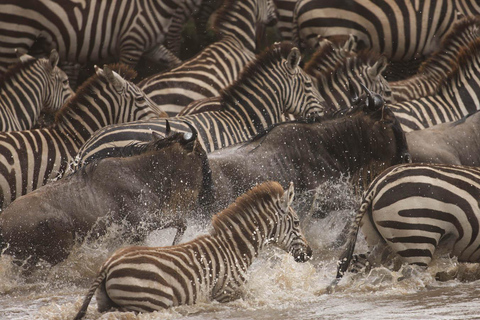 Safari di 15 giorni con il meglio del Kenya e della Tanzania e la spiaggia di Zanzibar