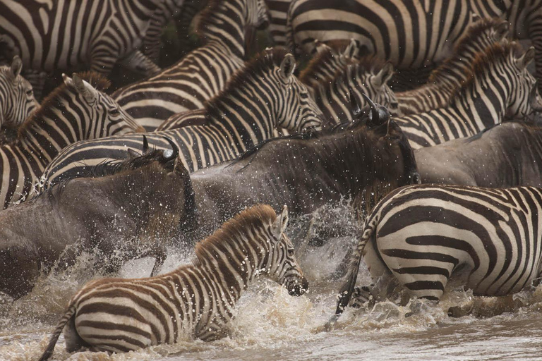 Safari di 15 giorni con il meglio del Kenya e della Tanzania e la spiaggia di Zanzibar