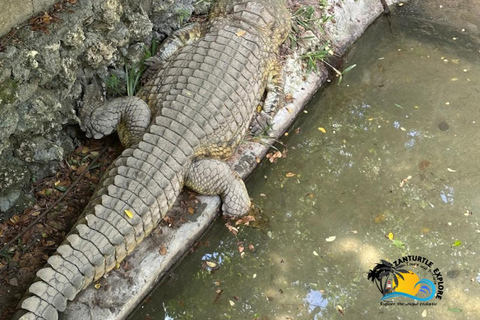 Sansibar: Tierschutz im Kilosa Zoo &amp; Dau-Fahrt bei Sonnenuntergang