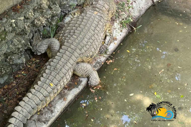 Sansibar: Tierschutz im Kilosa Zoo &amp; Dau-Fahrt bei Sonnenuntergang