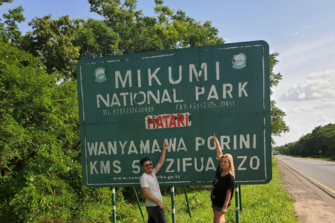 UN COMODO SAFARI DI UN GIORNO DA ZANZIBAR A MIKUMI IN VOLO