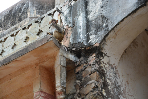 Jaipur: Amber Fort, Stadtpalast und Hawa Mahal Tagestour