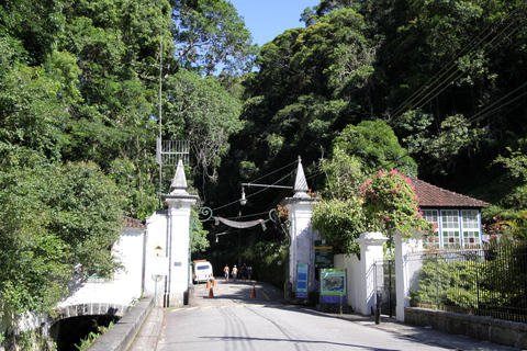 Rio de Janeiro : Visite privée Forêt de Tijuca et Santa Teresa