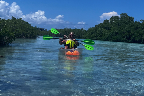 Providenciales Mangrove Kayak Tour With Turtle Sightings