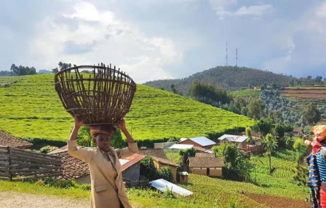 From Kigali:|Zoom Safari|Lake Kivu 2-Day Scenic Boat Tour