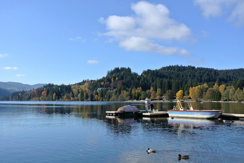 Zurique/Lucerna: Viagem de 1 dia às Cataratas do Reno, Titisee e Floresta Negra