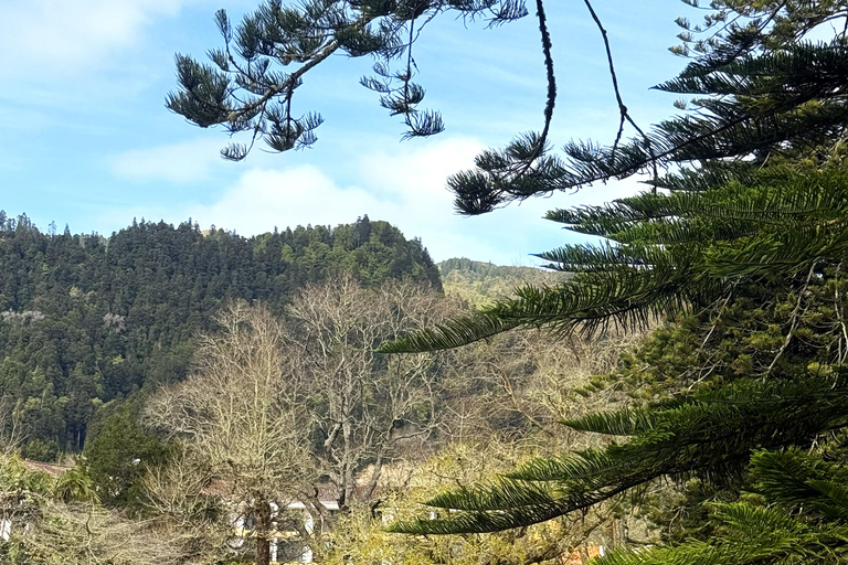 Thermal Baths and Botanical Garden Experience – São Miguel Volcanic Route & Thermal Baths Experience – São Miguel
