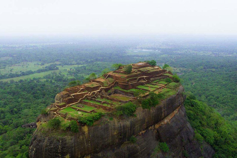 Sigiriya & Dambulla Private Day Tour From Negombo