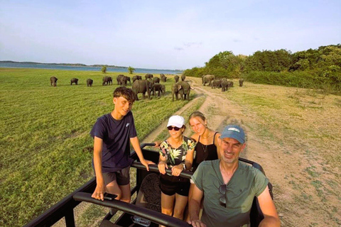 Minneriya National Park Safari & Pidurangala Sunset Hike